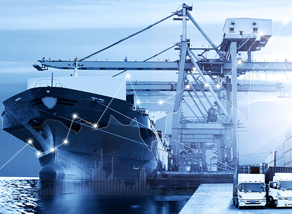 Temporay Import/Export Shipment