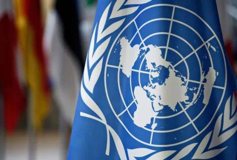 United Nations Procurement Introduction